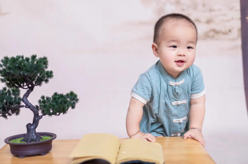 潜江可爱的企鹅宝宝